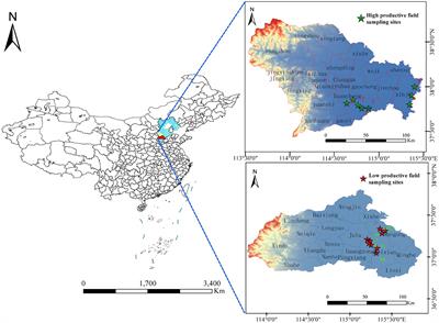 Deciphering the differences of bacterial communities between high- and low-productive wheat fields using high-throughput sequencing